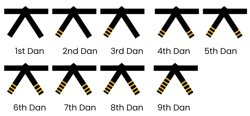 A chart showing progression through the nine Dan Grades in Taekwondo, indicated by back belts with golden tabs.