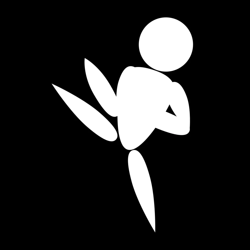 White icon on a black background showing a stick figure performing a Taekwondo kick