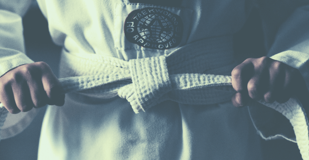 Spinning Kick White Belt Taekwondo Grading Pack