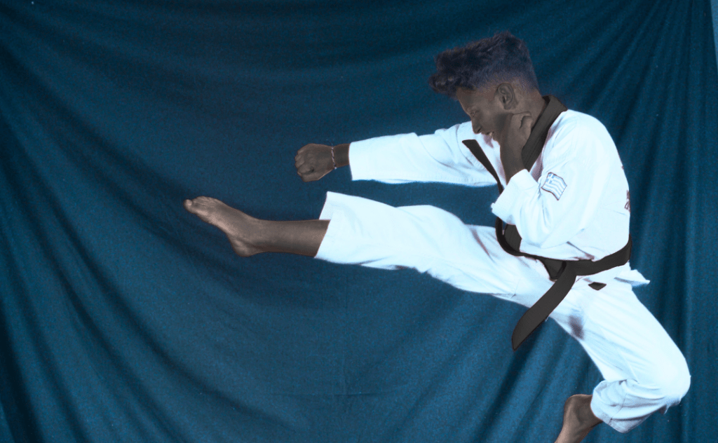 Spinning Kick Taekwondo Kick Log
